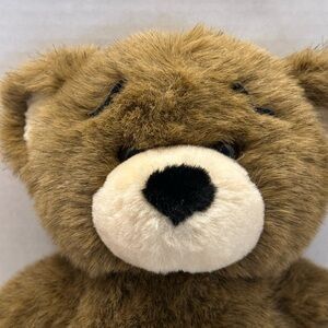 Build-A-Bear Bearemy Frosted Fur Fluffy Brown Teddy Stuffed Animal